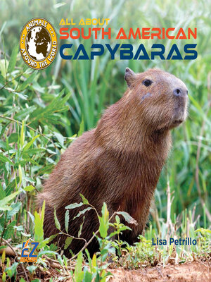 cover image of All About South American Capybaras